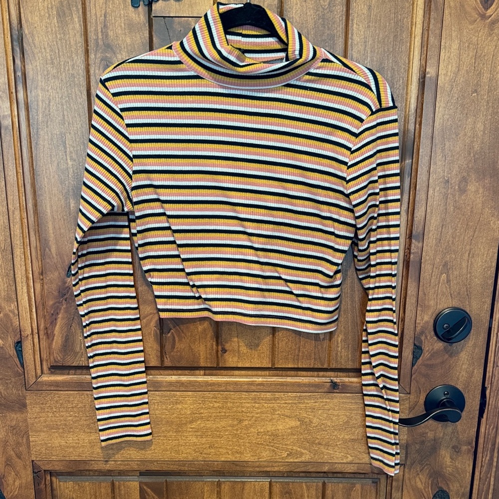 Divided Striped Crop Top with Turtleneck